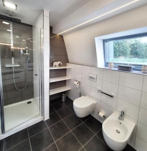 uma casa de banho com um chuveiro, um WC e um lavatório. em schwimmendes Ferienhaus Sky em Elsterheide