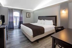 um quarto de hotel com uma cama e uma televisão em Travelodge by Wyndham Sarnia em Sarnia