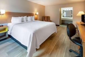 Katil atau katil-katil dalam bilik di Days Inn by Wyndham Birch Run