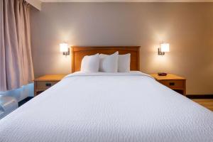 Katil atau katil-katil dalam bilik di Days Inn by Wyndham Birch Run