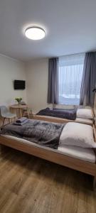 a bedroom with two beds and a large window at Apartament, Pokoje Koniczynka in Karpacz