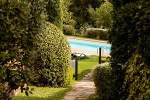 einen Garten mit einem Pool und einer Bank zwischen zwei Büschen in der Unterkunft Casetta di Butia, Glicine Apartment in Borgo a Mozzano