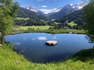 un gran estanque con una roca en medio de un campo en Mittersteinerhof, en Villabassa