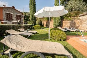 A garden outside Casetta di Butia, Ginestra apartment with swimming pool