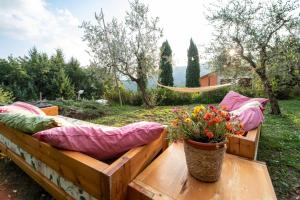 A garden outside Casetta di Butia, Ginestra apartment with swimming pool