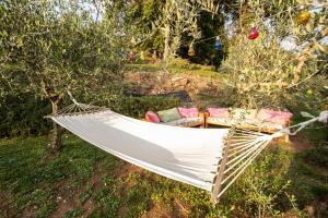 A garden outside Casetta di Butia, Ginestra apartment with swimming pool