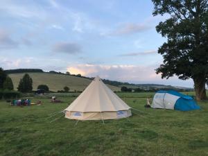 two tents in a field next to a tree at Charlton End Bell Tent in Charlton