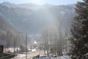 una carretera cubierta de nieve con una montaña en el fondo en Apartment Bergblick-Mellau en Mellau
