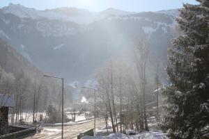 Príroda v okolí apartmánu + 4 fotografie