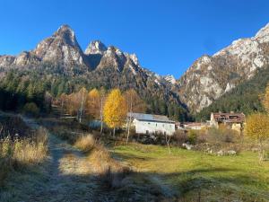 un champ avec une maison et des montagnes en arrière-plan dans l'établissement Vila Busteni DORA, locatie superba strada Grivitei 36, à Buşteni