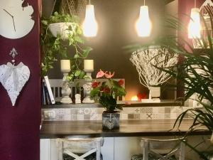 Pokój z blatem z doniczkami i oświetleniem w obiekcie Vivienda Vacacional Vaiana w mieście Las Rosas