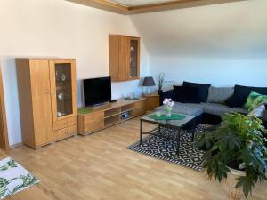 a living room with a couch and a tv at FeWo Becka "das kleine Paradies" in Weiskirchen