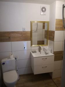 a bathroom with a toilet and a sink and a mirror at Bowal in Grzybowo