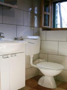 a bathroom with a white toilet and a sink at Sage House in Trpanj