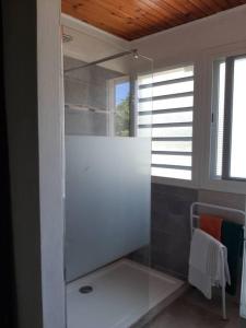 um chuveiro com uma porta de vidro na casa de banho em Maison MANZÈL à St Esprit - 20 min des plages em Grande Savane