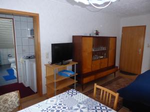 ein kleines Wohnzimmer mit einem TV und einem Tisch in der Unterkunft Apartment Rumrich in Kurort Altenberg