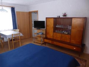 ein Wohnzimmer mit einem TV und einer Kommode in der Unterkunft Apartment Rumrich in Kurort Altenberg