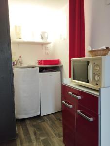 a kitchen with a microwave and a washer and dryer at Studio Les coquelicots in Saint-Romain-sur-Cher