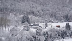 a house in the middle of a snow covered forest at Waldhotel Schinkenwirt in Olsberg