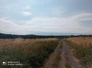 Loodusmaastik apartemendi lähedal