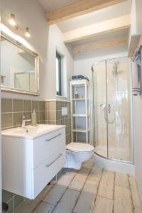a bathroom with a shower and a sink and a toilet at Wrzosowe Wzgórze - Domek wiejski in Kłaczno +44 photos