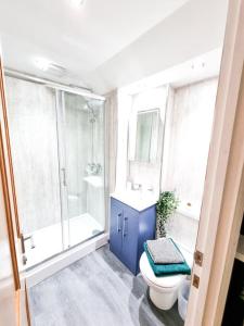 a bathroom with a toilet and a sink and a shower at Gorgeous Newly Renovated 2 Double Bed Flat in Swansea