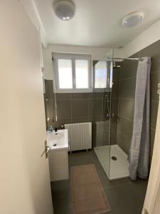 uma casa de banho com um chuveiro e um lavatório. em Maison plein centre ville La Roche Sur Yon em La Roche-sur-Yon