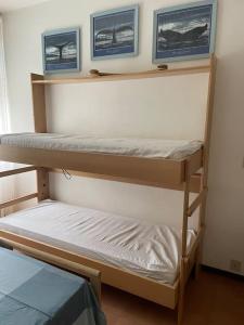 Bunk bed o mga bunk bed sa kuwarto sa Appartamento Ellidor