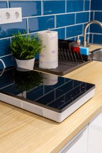 a kitchen counter with a sink with plants on it at The right choice studio apartments in Budapest