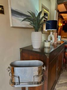 a stool with a plant on top of a cabinet at Arms Cottage in Bridge