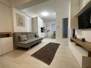 Luxury New Apartments Centru في ياش: غرفة معيشة بها أريكة وتلفزيون