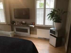 een slaapkamer met een tv en een potplant bij B&B de Nieuwe Haven in Bunschoten