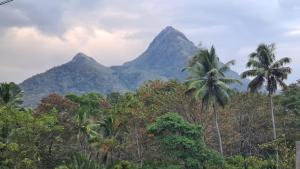 a view of mountains with trees and palm trees at PONMUDI DALE. HOMESTAY in Kallar-Bridge