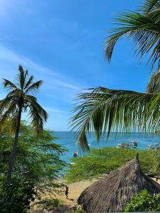 a palm tree and a hut on a beach at Hostal Viña del Mar in Taganga