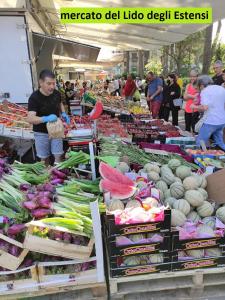 targ wypełniony wieloma warzywami wystawionymi na wystawie w obiekcie Mipro Mobilhome w mieście Lido di Spina