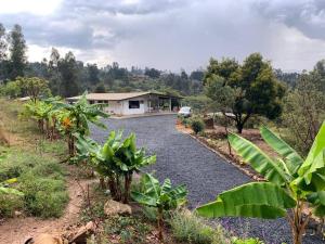 a gravel driveway with a house in the background at FINCA VILLA PEDREGAL RAQUIRA in Ráquira