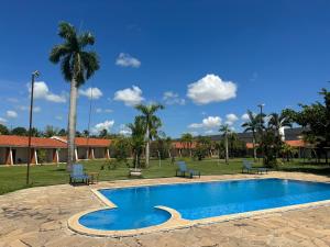 a swimming pool with chairs and a palm tree at IPÊ PARK Convention Hotel in Sao Jose do Rio Preto