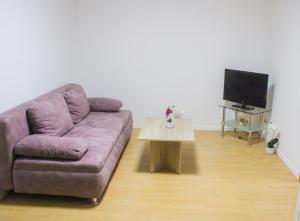 TV a/nebo společenská místnost v ubytování Ferienhaus Seilerbahn 17