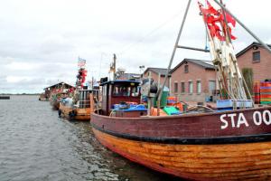 a group of boats parked in the water at Ferienwohnung im roten Haus in Stahlbrode