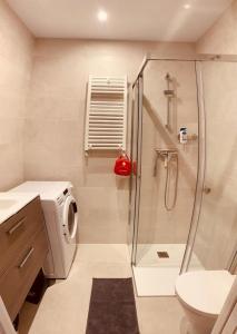 La salle de bains est pourvue d'une douche et de toilettes. dans l'établissement APARTAMENTO EL SOLARON, à Gijón