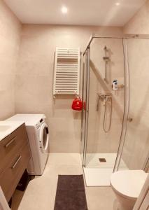 a bathroom with a shower and a toilet at El Solarón in Gijón