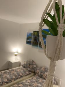 a plant in a white pot hanging from a rope at Schickes 1,5 Zimmer-Cityapartment Bielefeld Mitte in Bielefeld