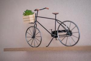 uma bicicleta numa prateleira com um vaso de planta em Le Lys - Wifi - 10 min centre ville em Estrasburgo