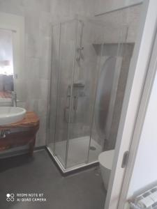 a bathroom with a shower and a toilet and a sink at Quinta da Lua Nova in Travancinha