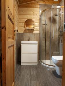 a bathroom with a shower and a toilet and a sink at Parkwood Lodge in Louth