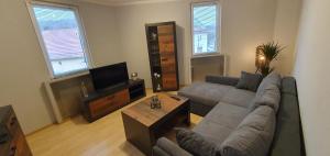 ein Wohnzimmer mit einem Sofa und einem TV in der Unterkunft Ferienwohnung Bronder in Homburg