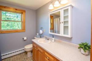 a bathroom with a sink and a toilet and a mirror at The Hive at Blue Spruce Lodge White Mnts View in Brownfield