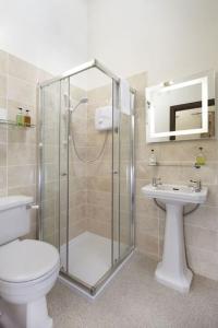 a bathroom with a shower and a toilet and a sink at Bush Nook Farmhouse in Brampton