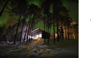una cabaña en el bosque por la noche en la nieve en Villa Paadar, en Inari