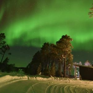 una aurora en el cielo con árboles y una casa en Villa Paatari, Inari (Paadarjärvi), en Inari